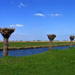 Zaanse Schans